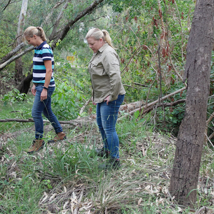 Community Recovery and Resilience