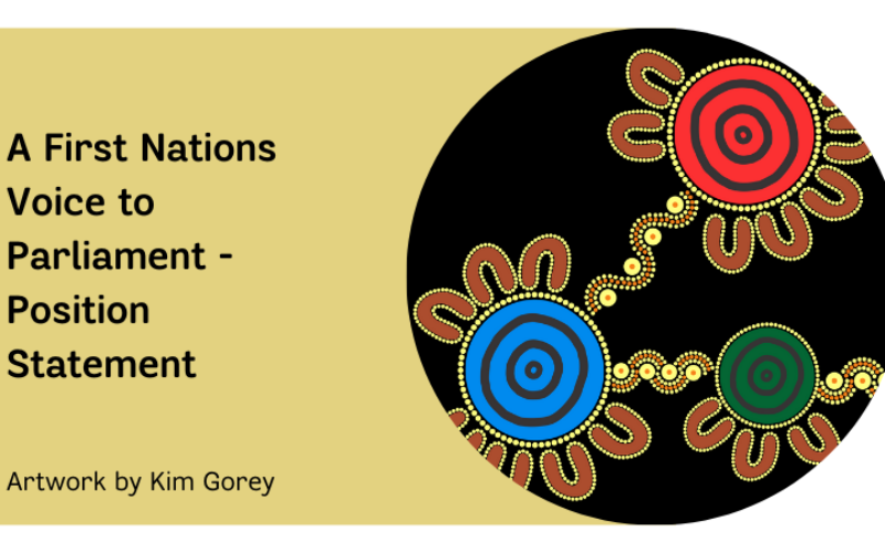 A First Nations Voice to Parliament - Position Statement
